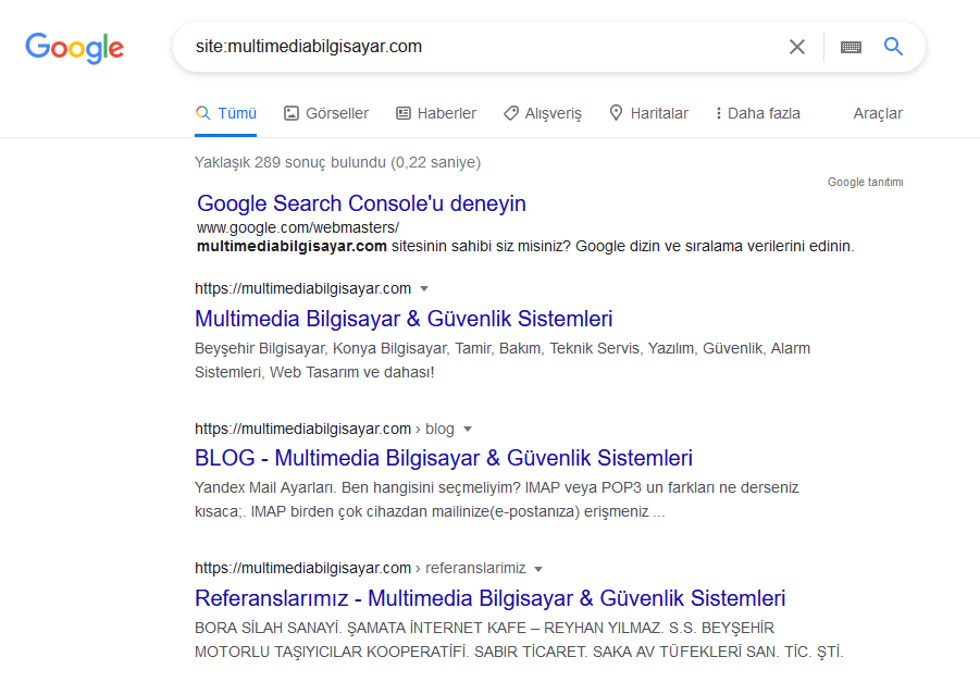 SİTEM GOOGLE’DA YER ALMIYOR [ÇÖZÜMÜ]