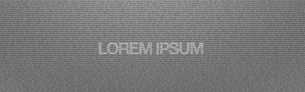 Lorem Ipsum Metinleri Ne Anlama Geliyor?